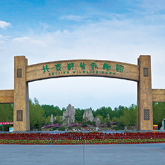 凯发·k8(中国游)官方网站